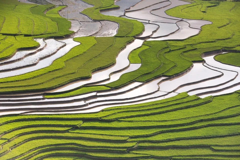 Mùi thơm